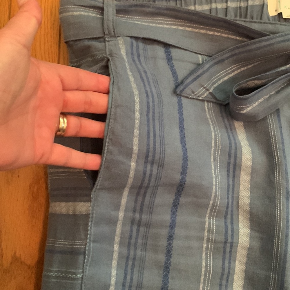Anthropologie Blue Striped Cropped Pants - Picture 6 of 15